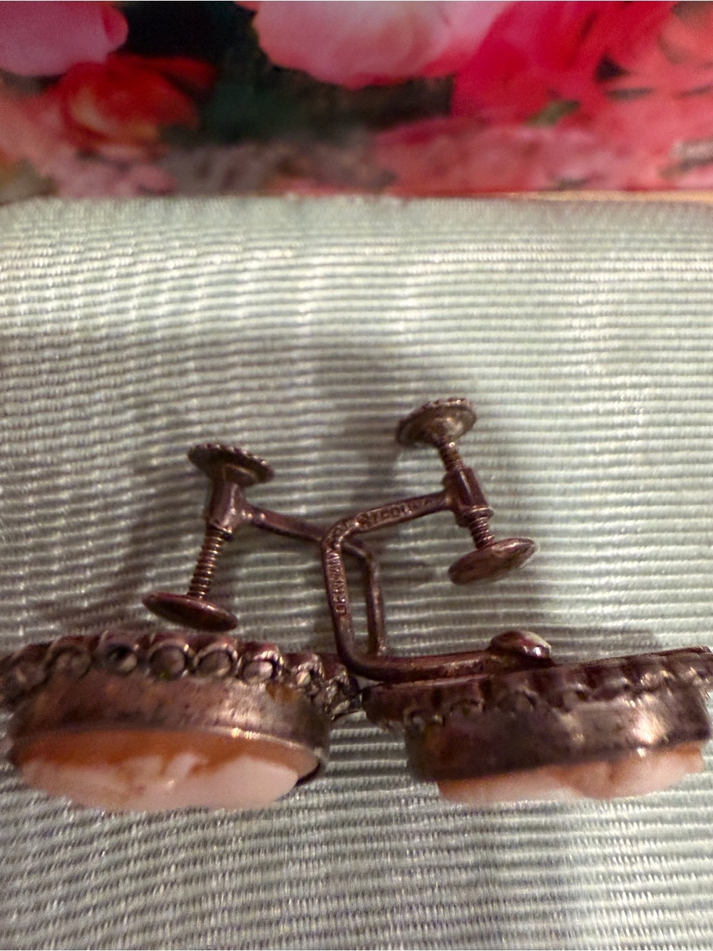Vintage Geniune Shell Cameo in Cream and Brown, Screw Ons - Picture 9 of 9